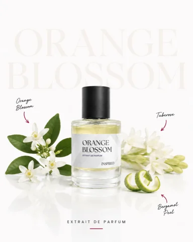 Orange Blossom